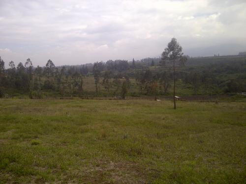 HERMOSO TERRENO EN TUMBACO