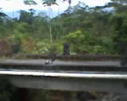 Hermoso terreno en la Amazonia