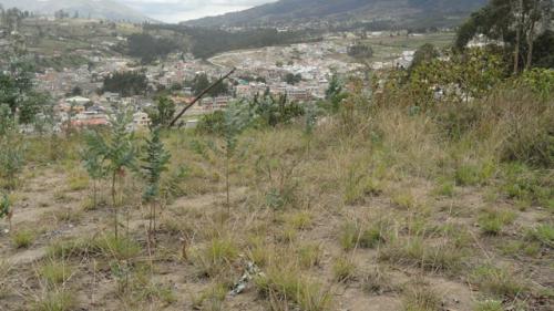 VENDO PRECIOSO TERRENO EN OTAVALO
