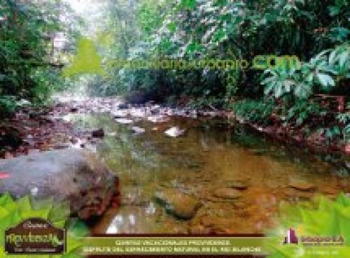 Vive este entorno paradisiaco..... compra un pedazo de naturaleza Quintas Vacacionales Provvidenza - crédito directo