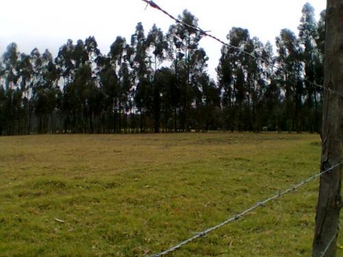 Hermoso Terreno En Amaguaña De 18.869,40 M2 (NEGOCIABLES)