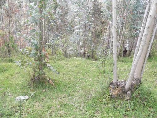 TERRENO EN YAMBIRO - OTAVALO - IMBABURA DE 2800 METROS
