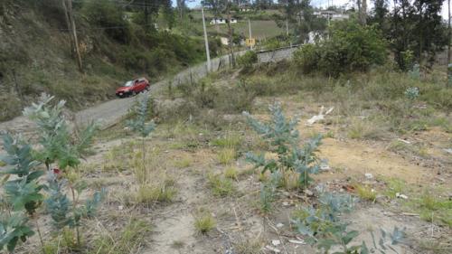 VENDO PRECIOSO TERRENO EN OTAVALO