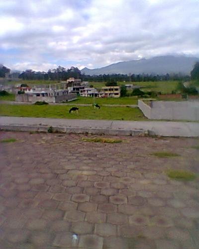 ! DE OPORTUNIDAD VENDO TERRENO URBANIZADO!! EN SANGOLQUI