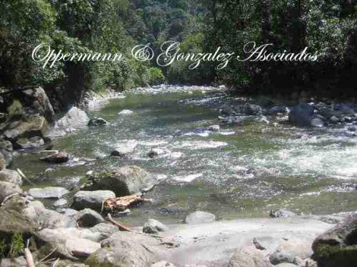 Vendo finca ecológica de 20 ha en Mindo.