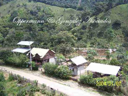 Vendo finca ecológica / turística en Mindo Ecuador.