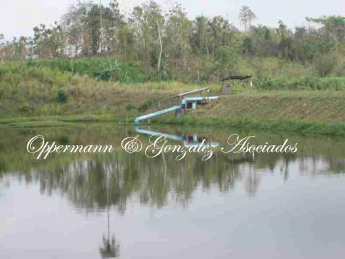 Camaronera operativa en venta en Pedernales, Ecuador