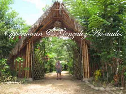 Lindo Eco-hostal y camping a la orilla del rió en alquiler