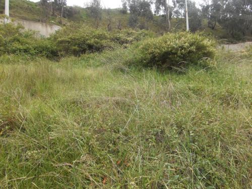 TERRENO RANCHO BAJO, ÁREA DE 215M2 $26.000 INFORMES: 2353-232, 0997-592747