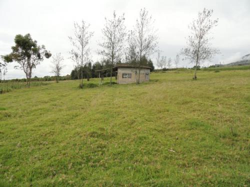 VENDO TERRENO DE 11.000 METROS EN QUINCHUQUI - IMBABURA