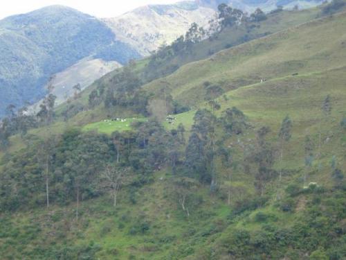 Vendo hermosa Finca Ganadera en Loja - Ecuador (Sector Solamar a aprox. 30 min. de la ciudad)