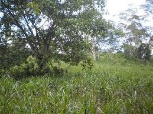TERRENO EN EL PUYO
