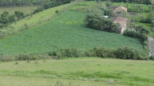VENDO HACIENDA DE 117 HECTAREAS EN OTAVALO