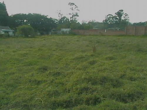 DE VENTA: Precioso terreno en Pifo de 3037m2