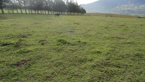 VENDO PROPIEDAD DE UNA HECTAREA, CERCA A OTAVALO