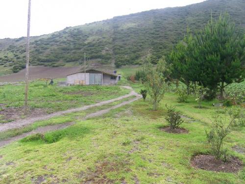 Venta terreno en Calacalí con galpón y vivienda. 5½ Hectáreas. 