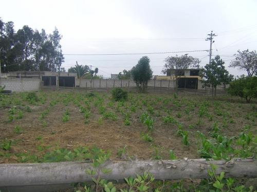 Terreno esquinero. Excelente ubicación. Calderón. 