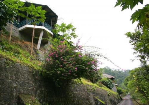 HOSTERIA TINALANDIA 