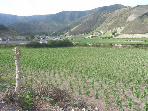 Precioso terreno en venta. Ubicado en Calacalí. Mitad del mundo. 