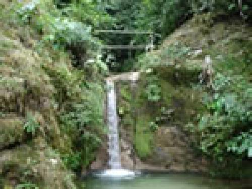 vendo una finca de 15 hectareas con todos los servicios a 1.5 km de mera a la entrada ala amazonia