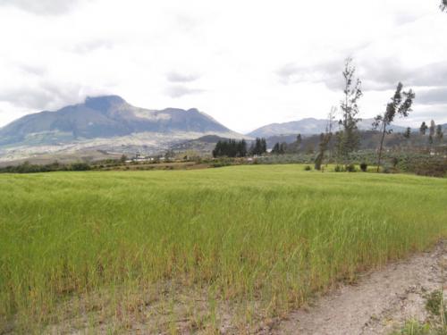 VENDO TERRENO DE 7 HECTAREAS EN QUIROGA