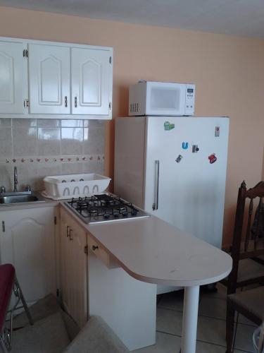 ARRIENDO DEPARTAMENTO SEMI AMOBLADO EN LA DAMMER DOS