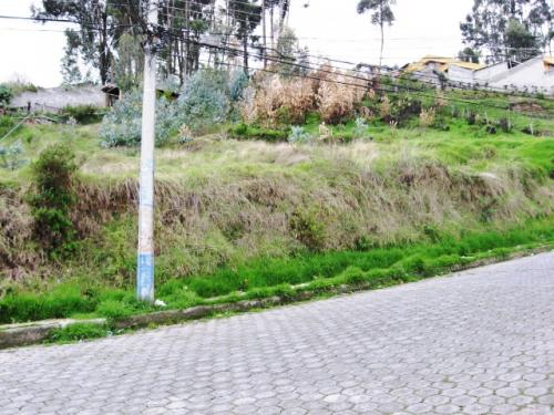 VENDO TERRENO DE 2000M2 EN COCHAPAMBA NORTE ARRIBA DE UNION NACIONAL