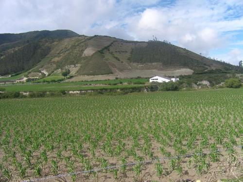 Precioso terreno en venta. Ubicado en Calacalí. Mitad del mundo. 