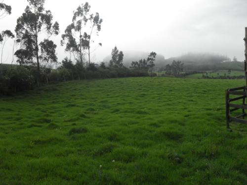 TERRENO INDUSTRIAL UBICADO EN LASSO