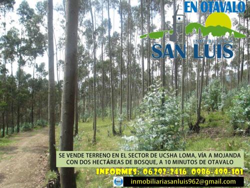 SE VENDE TERRENO, EN OTAVALO, SECTOR DE UCSHA LOMA