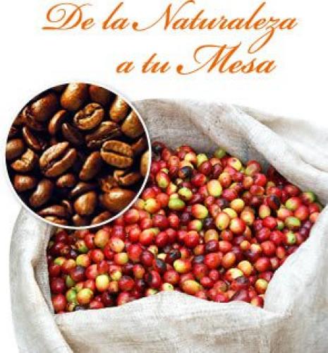 Franquicias de café