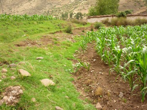 TERRENO SAN SALVADOR  DE 1045M2