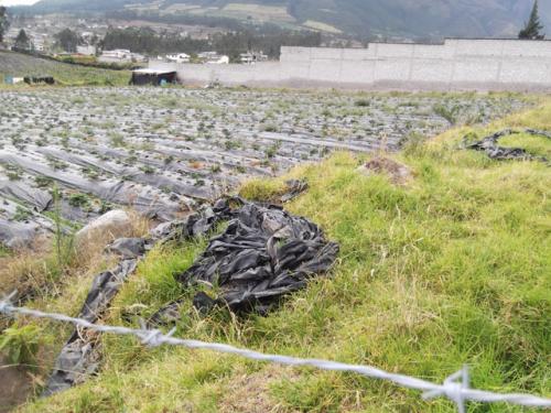 VENDO TERRENO EN OTAVALO, VIA A ILUMAN