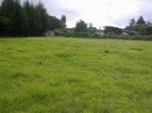 VENDO TERRENO SECTOR LA MORITA