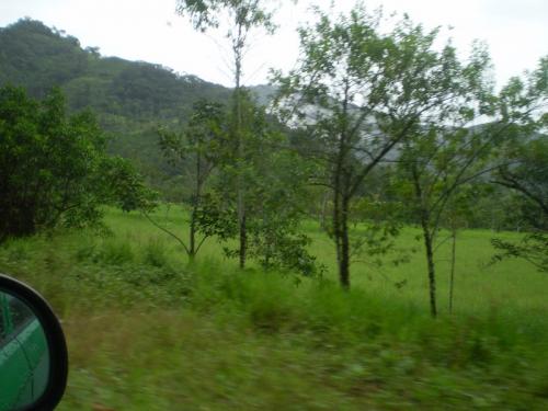 FINCA DE PRODUCCIÓN AGROPECUARIA