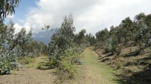 VENDO TERRENO DE 6 HECTAREAS EN COTACACHI