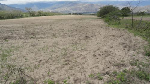 SE VENDE TERRENO DE 7 HECTAREAS EN URCUQUI