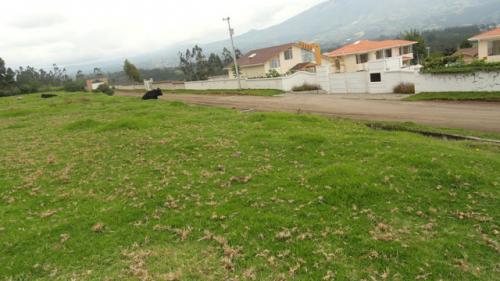 SE VENDE LOTE EN EL SECTOR DE PINSAQUI - OTAVALO