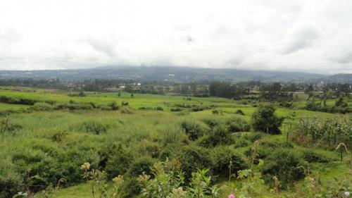 VENDO HERMOSA HACIENDA EN COTACACHI