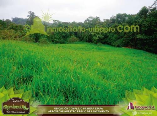 Estupendos terrenos en un clima subtropical