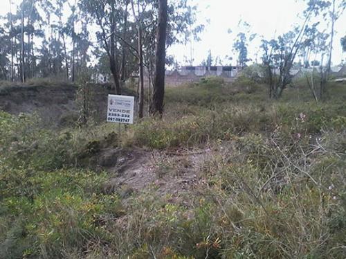 TERRENO CLUB LA MARCA, SECTOR MITAD DEL MUNDO, 490M2 $27.000 LLÁMENOS: INMOBILIARIA CONEXION: 2353232, 0997592747
