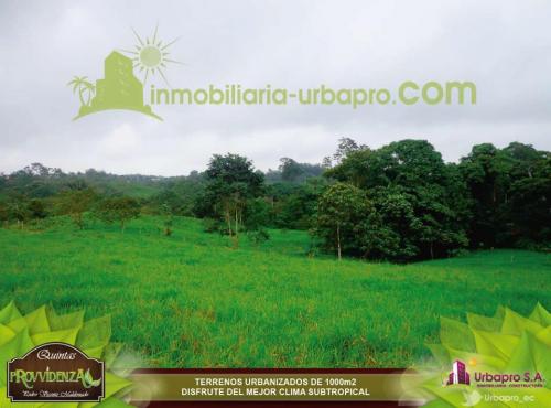 LOTES DE 1000 M2 A LAS AFUERAS DE LA CIUDAD