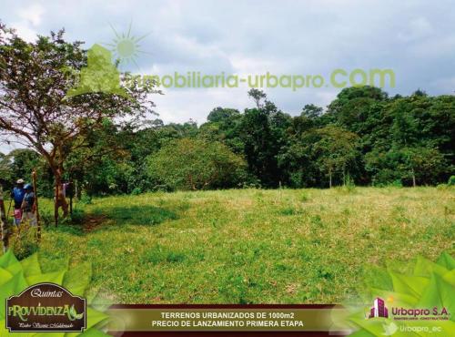 SENSACIONALES LOTES ECOLOGICOS EN PROVVIDENZA