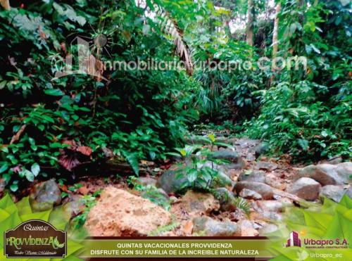 ASEGURE SU TERRENO EN PLENA NATURALEZA