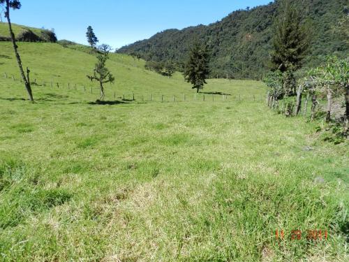 En OTAVALO, SEIS HECTÁREAS DE LA HACIENDA PASTAVÍ