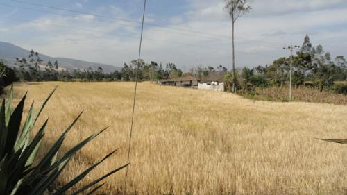 VENDO PROPIEDAD DE 2.5 HECTAREAS EN QUIROGA