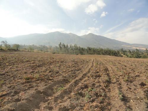 VENDO PROPIEDAD DE 6.5 HECTAREAS EN QUIROGA