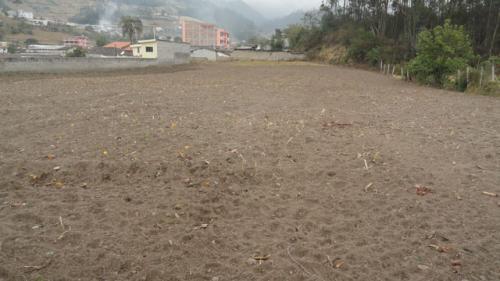 Vendo terreno de 3.000 metros en Quichinche