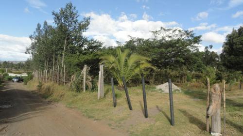Vendo terreno de 8.000 m2 en Quiroga