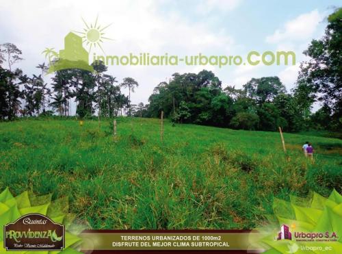 APROVECHE ULTIMOS LOTES EN CLIMA SUBTROPICAL